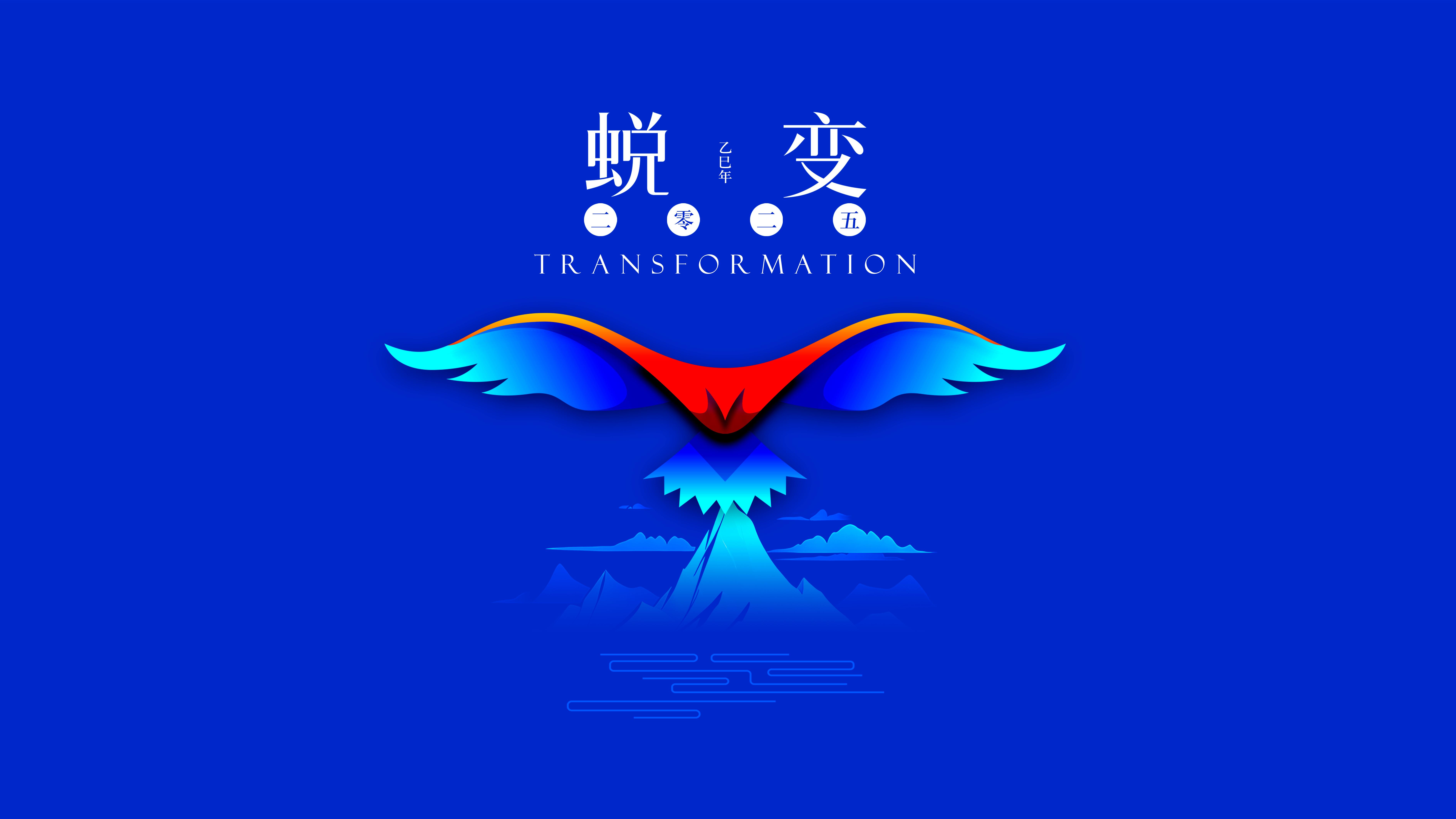 我与海星的2024，期待2025年与您一起续写美好篇章